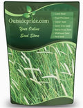 Outsidepride Climax Timothy Pasture Grass Seed - 25 Lbs. Perennial, Hardy, Easy to Grow, High-Yield, & Palatable, Winter Pasture Seed for Late-Spring Grazing, Hay Harvesting & Field Curing by Outsidepride