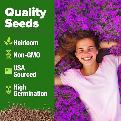 HOME GROWN Purple Creeping Thyme Seeds, 22,000+ Seeds, Thymus serpyllum - Image 2