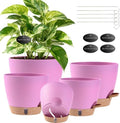 Self Watering Pots for Inoor Ourdoor Plants 8/7/6.5/6/5 Inch, 5 Pack by Fielda