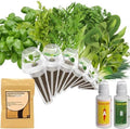 inbloom Asian Herb Seed Pod Kit for AeroGarden, iDoo, Ahopegarden, 7 Pods with 350+ Seeds (Basil, Parsley, Cilantro, Chrysanthemum, Pak Choi, Crystalline Ice Plant, Onion) Hydroponics Growing System by inbloomgarden