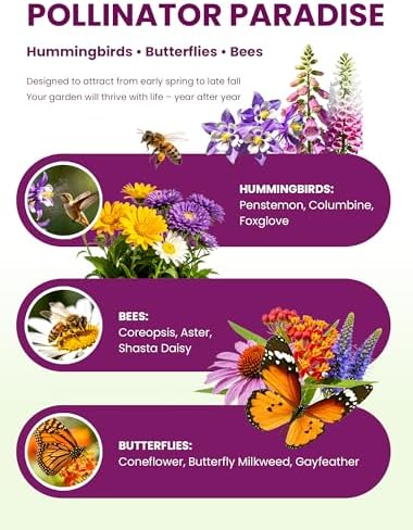 Wildflower Seeds – Perennial Paradise Mix, 21 Heirloom Species, 24,000+ Seeds (4oz) Covers 300-360 sq. ft., High Germination for Outdoor Pollinator Garden - Image 3