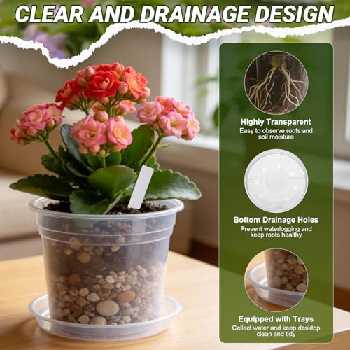 4/6/8/10 Inch Large Clear Nursery Pots with Drainage & Saucers & Plant Tags - Image 2