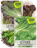 Seed Needs Romaine Lettuce Seeds Variety Pack of 2 Vegetables for Planting by SeedNeeds
