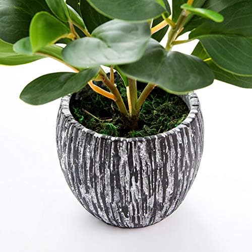 AlphaAcc Fake Faux Fiddle Leaf Fig Cement Planter Housewarming Desk Decor - Image 2