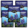 Texas Bluebonnet Seeds for Planting - 5 Packs by SurvivalGardenSeeds