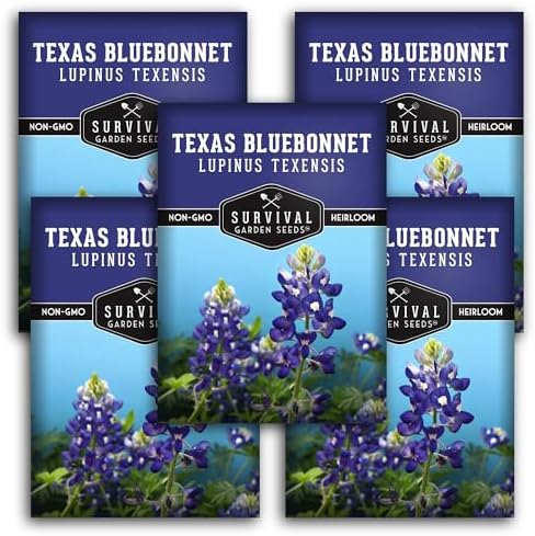 Texas Bluebonnet Seeds for Planting - 5 Packs by SurvivalGardenSeeds