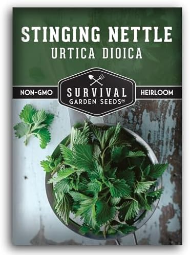 Stinging Nettle Seeds for Planting - 1 Pack by SurvivalGardenSeeds