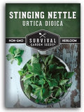 Stinging Nettle Seeds for Planting - 1 Pack by SurvivalGardenSeeds