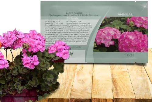 Outsidepride Pink Bicolor Geranium Seeds for Planting - 25 Pcs Annual, Heat & Drought Tolerant Flower Seeds with Green Foliage & Pink Blooms for Pots, Borders & Lush Summer Garden Displays by Outsidepride