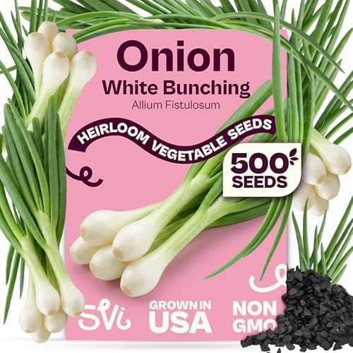 SVI 500 Bunching White Onion Seeds For Planting (Allium fistulosum) – Green Onion Seed Packets, Bunching Scallions Seed, Cebolla – Heirloom Vegetable Seeds for Planting Outdoors Home garden Containers by SVI