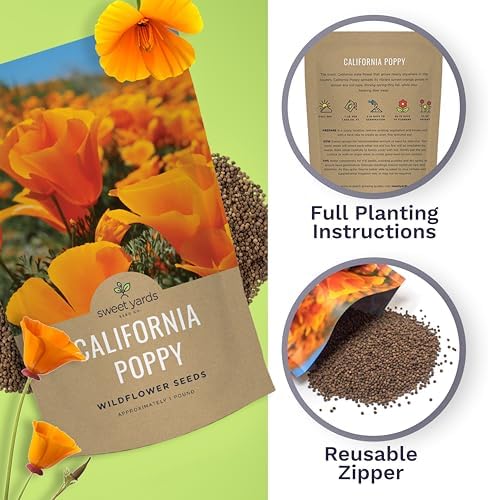 Bulk California Orange Poppy Wildflower Seeds - 5 Pounds - Over 1,600,000 Native Seeds - California State Flower! - Image 5