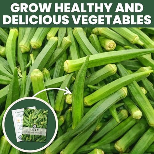 Okra Clemson Spineless – 225 Premium Seeds for Planting – High-Yield, Tender Heirloom Pods for the 2026 Season – 15 Gram Pouch - Image 7