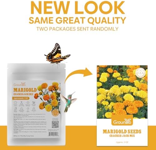 Groundio Marigold Seeds, 9500+ Crackerjack Marigold Flower Seeds, Non-GMO Heirloom Flower Seed in Mix Color for Planting Home and Garden-Wildflower African Marigold(Tagetes erecta) - Image 2