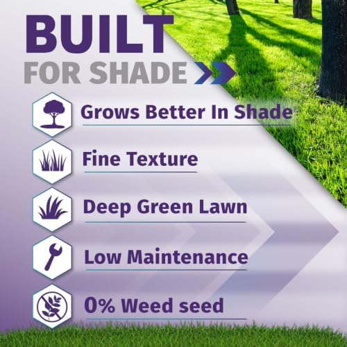 Shade Pro Grass Seed (10LBS) — Fine Fescue & Ryegrass Blend for Shaded Lawns — Thrives in Low-Light Areas — Dark Green, Dense Turf - Image 3
