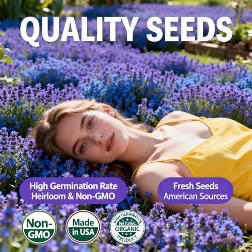 21000+ Blue Creeping Thyme Seeds Ground Cover,Blue Woolly Thyme Seeds Non-GMO Heirloom,Drought Tolerant Ground Cover Thyme Seed Silver Gray Carpet for Between Stepping Stones & Rock Outdoor - Image 4