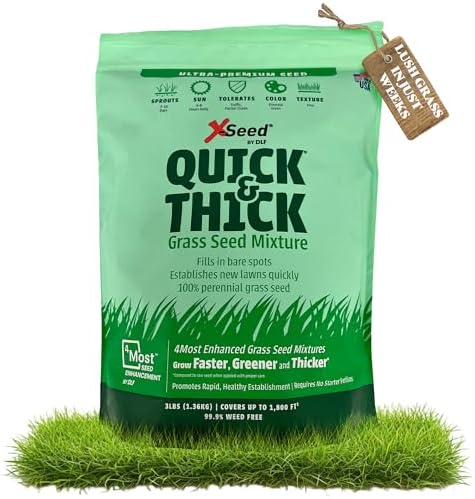 X-Seed Ultra Premium Quick and Thick Lawn Seed Mixture – Rapid Germination for Any Lawn, Dense Coverage in Sun to Shade, High-Traffic Areas, Fescue, Kentucky Blue, & Perennial Ryegrass Blend, 3lb Bag by DLF