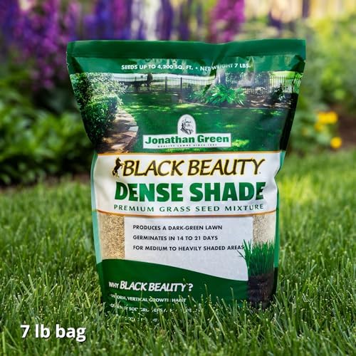 Jonathan Green Black Beauty Dense Shade Grass Seed - 7 lb - Image 4