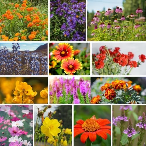 Mountain Valley Seed Co National Wildflower Seed Collection – Perennial Mix - Image 3
