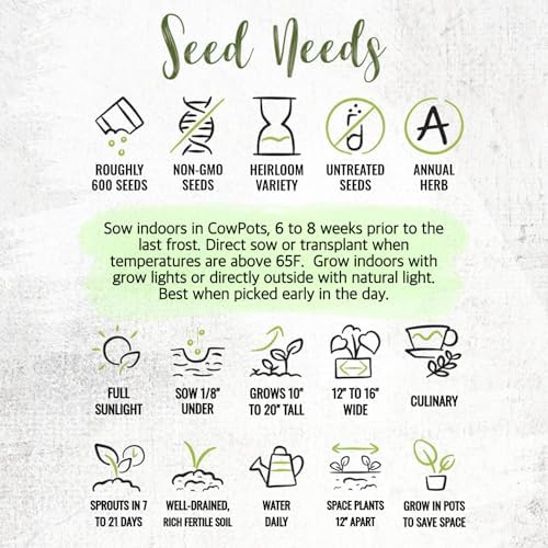 Seed Needs Curly Parsley Seeds to Plant an Herb Garden - 1 Pack - Image 7