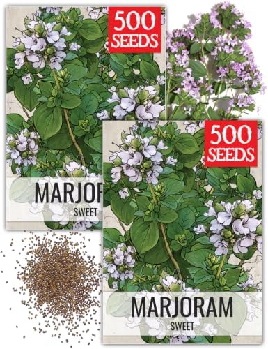 Seed Needs Sweet Marjoram Seeds to Plant an Herb Garden - 2 Packs by SeedNeeds