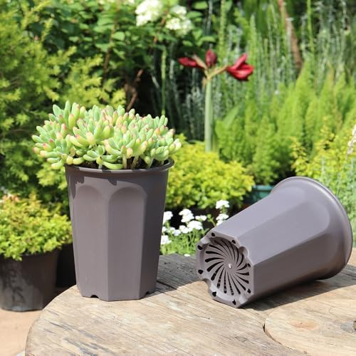 8 Pack 6.10 Inch Plastic Deep Nursery and Seedling Pots, Round Transplant Seed Starter Planter, Gray Color - Image 3
