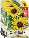 Seed Needs Wild Sunflower Seeds to Plant Cut Flowers - 5 Packs by SeedNeeds