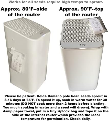 Bean Seeds for Planting Vegetables and Fruits. Pole Beans,Bush Beans,Romano Beans.Non GMO Garden Seeds for Home Vegetable Garden-Organic Stringless Heirloom Romano Green Pole Bean Seeds Helda-30ct+ - Image 6