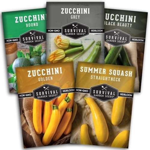 Zucchini & Summer Squash Seeds Collection for Planting by SurvivalGardenSeeds