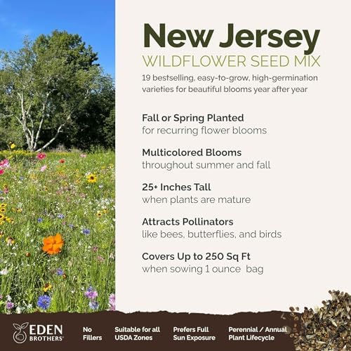 Eden Brothers New Jersey Wildflower Mixed Seeds for Planting, 1 oz - Image 2
