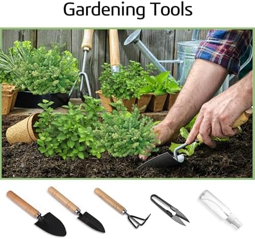 Indoor Herb Garden Starter Kit, Including A Complete Gardening Tools for Women Parents Gift - Image 4