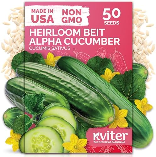 50 Beit Alpha Cucumber Heirloom Vegetable Seeds, Cucumis Sativus by KVITER