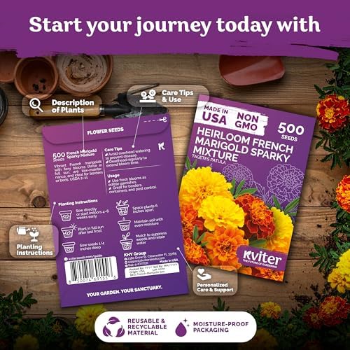 1,000 French Marigold Heirloom Flower Seeds for Planting, Tagetes Patula - Image 2