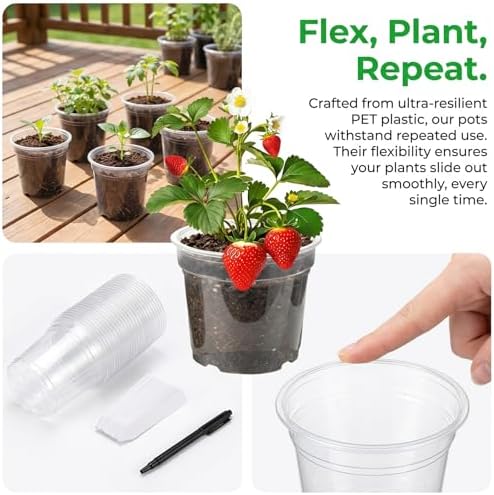 60 Pcs 5/6/7 Inch Clear Nursery Pots with Drainage, Plastic Pots for Plants - Image 5