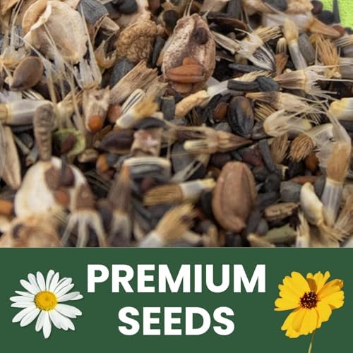 Drought Tolerant Mix – 4,000 Seeds for Planting – 2026 Season – 5 Gram Pouch - Image 5