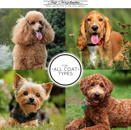 Chris Christensen Karben II Slicker Brush for Dogs, Groom Like a Professional, Ideal For All Coat Types, Remove Shedding Coat, Tangles and Dead Undercoat, 17 mm Stainless Steel Pins, Small - Image 5