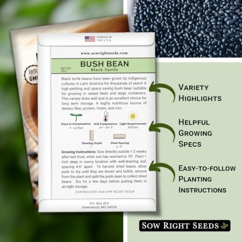Sow Right Seeds - Black Turtle Bush Bean Seed for Planting Outdoor Garden - Image 2