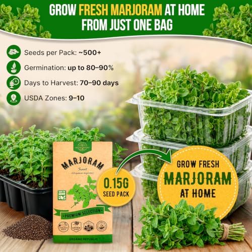 Marjoram Seeds Pack 0.15 G - Over 500 Non-GMO Heirloom Marjoram Seeds for Planting Herbs in Individual Seed Packet - Image 4