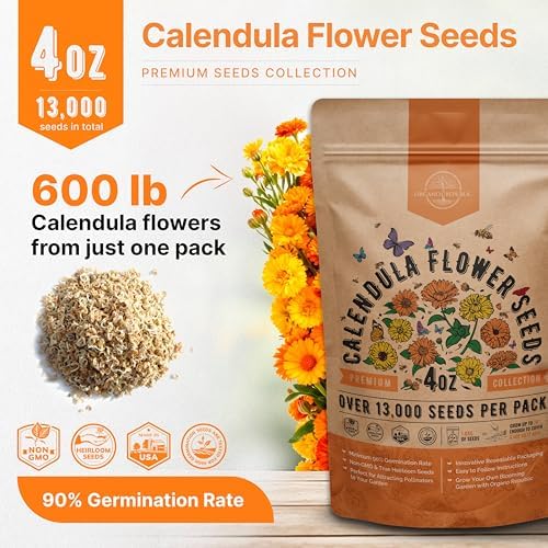 Calendula Seeds Pack 4 oz - Over 13,000 Non-GMO Heirloom Calendula Seeds for Planting Indoor & Outdoor Gardening, Flower Seed for Planting Home and Garden, Flowers Seed in Individual Packet - Image 3