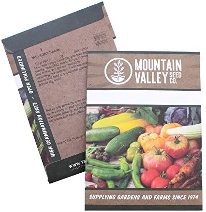 Mountain Valley Seed Co Italian Striped Zucchini Summer Squash Garden Seeds - Image 2