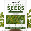 Spicebush Seeds for Planting | 100 Seeds | Lindera Benzoin Native Shrub by CZGrain