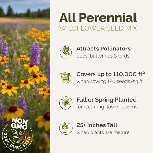 Eden Brothers All Perennial Wildflower Mixed Seeds for Planting, 25 lb, 12,000,000+ Seeds with Lupine, Shasta Daisy | Attracts Pollinators, Plant in Spring or Fall, Zones 3, 4, 5, 6, 7, 8, 9, 10 - Image 2