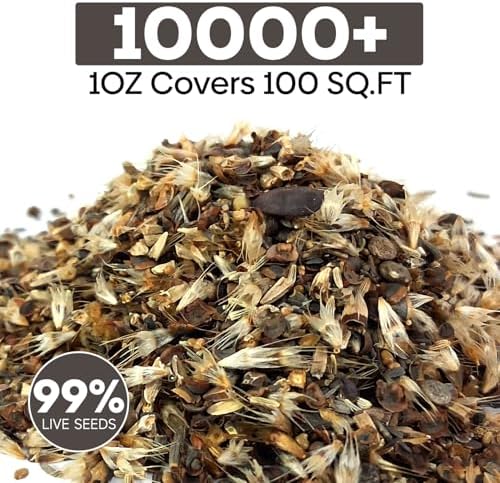 Groundio 10000+ All Perennial Wildflower Seeds for Planting,1 OZ 23 Varieties Wildflowers Seed, Non-GMO | Heirloom | USDA Zone 1-10, Butterfly & Hummingbird Attract - Image 2
