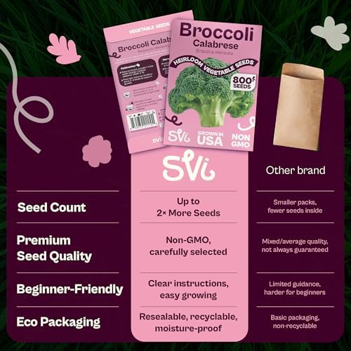 SVI 800 Calabrese Broccoli Seeds for Sprouting (Brassica oleracea VAR. capitata) - Green Broccoli Sprouts Seed Packets - Non-GMO Heirloom Vegetable Seeds for Planting Outdoors & Indoors Garden - Image 6