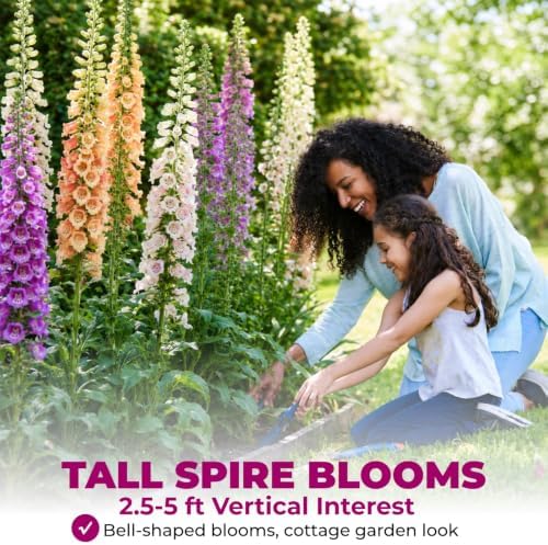 350,000+ Common Foxglove Seeds for Planting, Digitalis purpurea Seeds - Image 5
