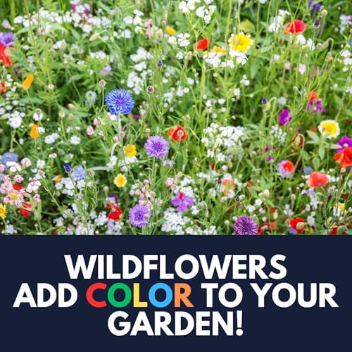 Partial Shade Wildflower Mix - (2oz) - Brighten shady spaces with vibrant blooms that flourish in sunlight. Perfect for yards, garden beds, and fence lines—bringing color where other flowers struggle! - Image 5