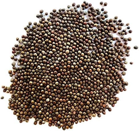 The Old Farmer's Almanac Heirloom Brussels Sprouts Seeds (Long Island Improved) - Approx 700 Seeds - Non-GMO, Open Pollinated, USA Origin - Image 2