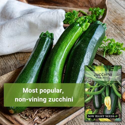 Sow Right Seeds - Black Beauty Zucchini Seed for Planting Summer Squash 2pk - Image 3