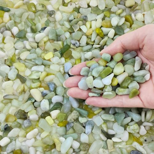 FANTIAN 10 lbs Pebbles for Plants, 3/8 Inch Green Rocks Pea Gravel by FANTIAN-GardeningMakesLifeBetter