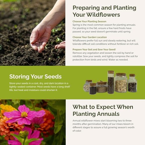 Eden Brothers Cosmic Zen Flower Mixed Seeds for Planting, 1 lb - Image 6