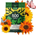 Sunflower Seeds to Plant, Easy to Grow Cut Flower, Heirloom Annual Flowers by Unknown
